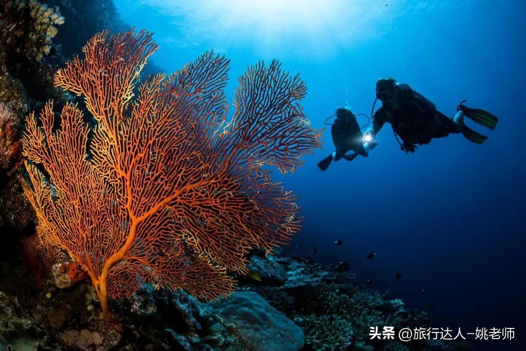 斐济私人度假岛屿预订,斐济豪华度假村