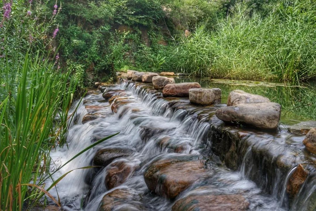 折扣半价,半价免费用英语怎么说