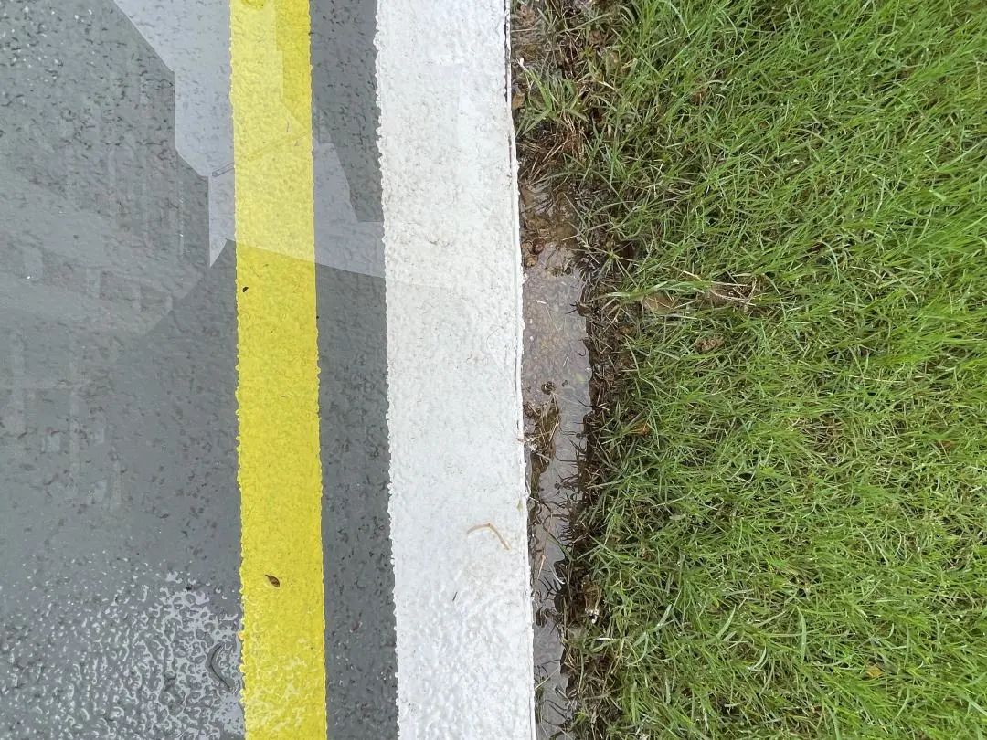 旭辉国宸府延期,房住不炒不等于房价不涨