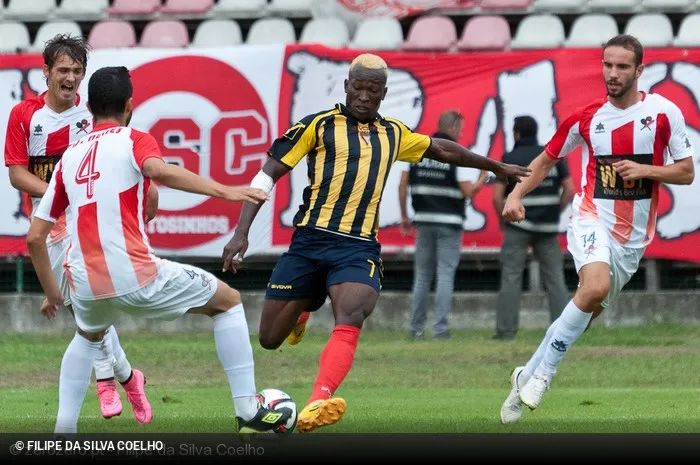 成都蓉城外援帕拉西奥斯最新动态,成都蓉城外援帕拉西奥斯