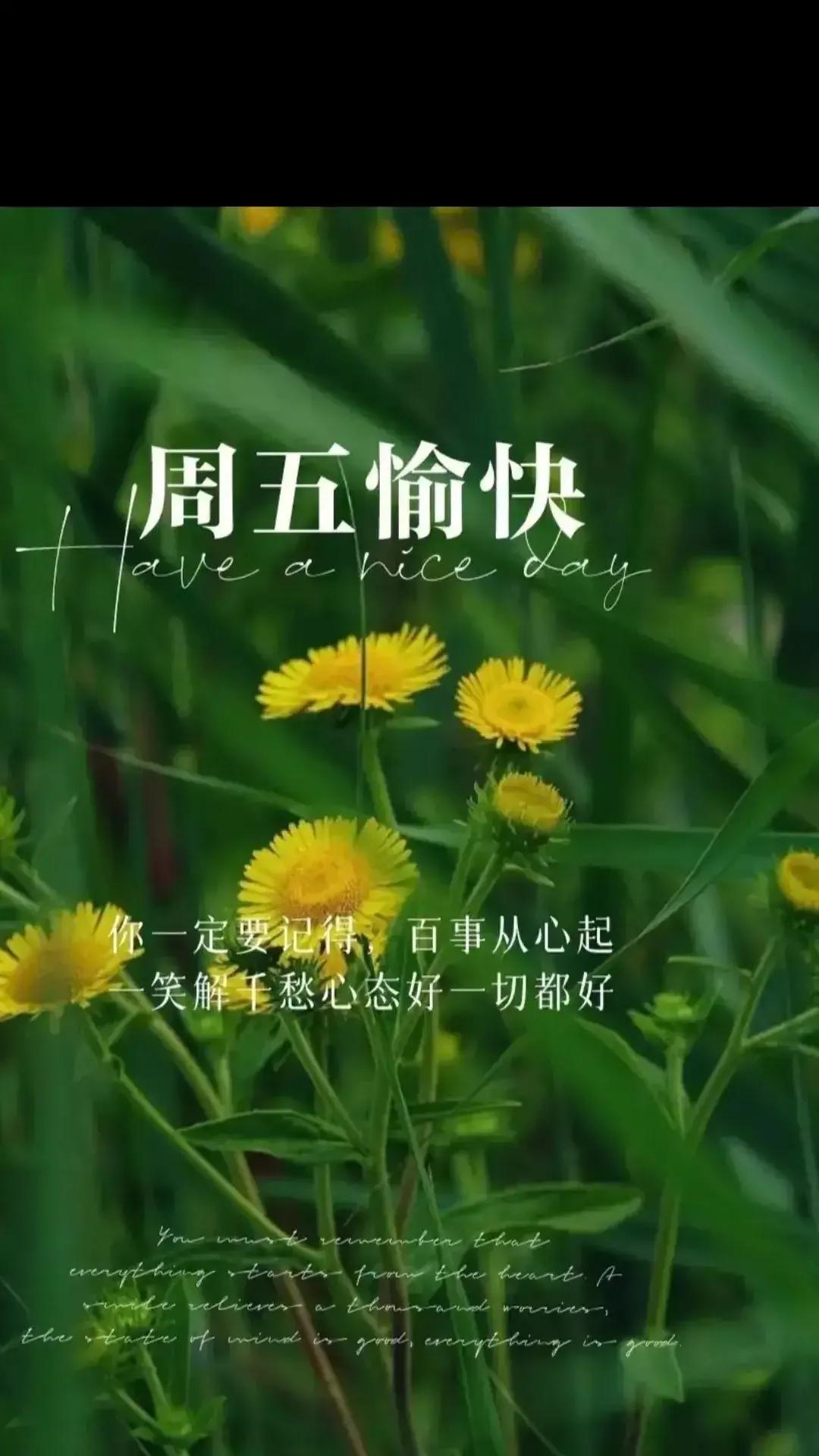 2023年03月03日星期五农历：癸卯年【兔年】二月十二八九第9天