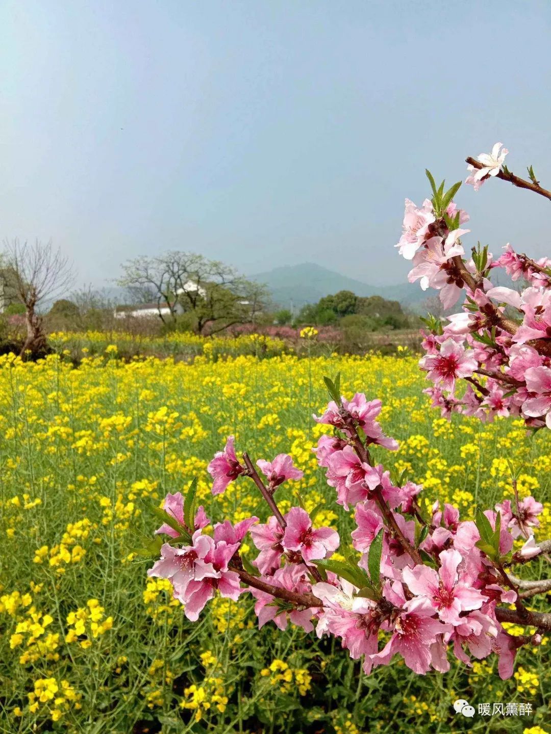 睡不着的夜里多么的烦恼,烦恼太多心里压抑睡不着