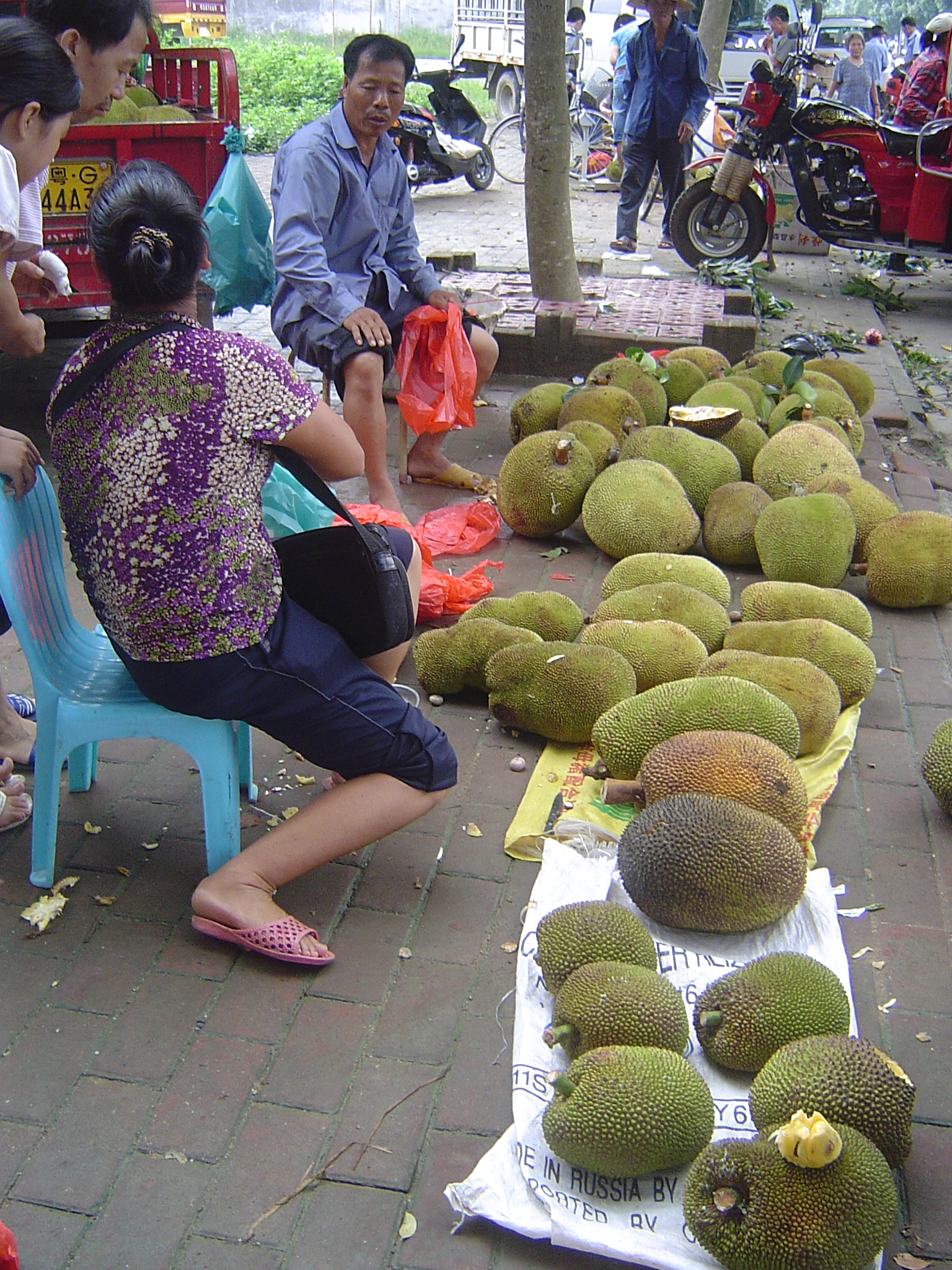 南粤大红菠萝,香甜爽口的金黄飘香菠萝