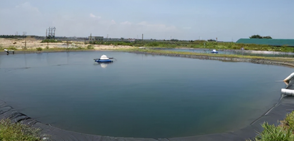 小瓜虫爆发如何快速处理,小瓜虫最好的克星