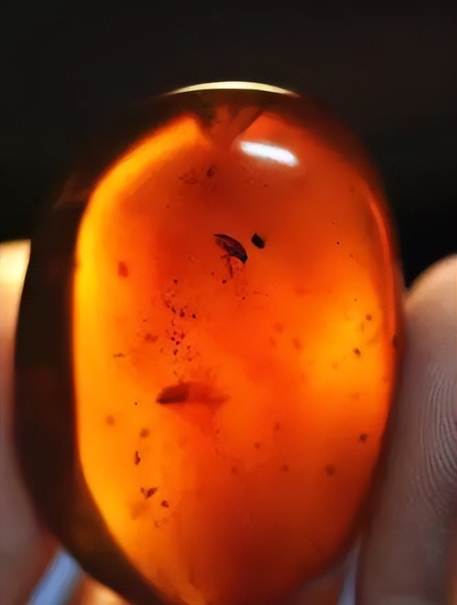 琥珀的相关知识有哪些,琥珀玛瑙知识