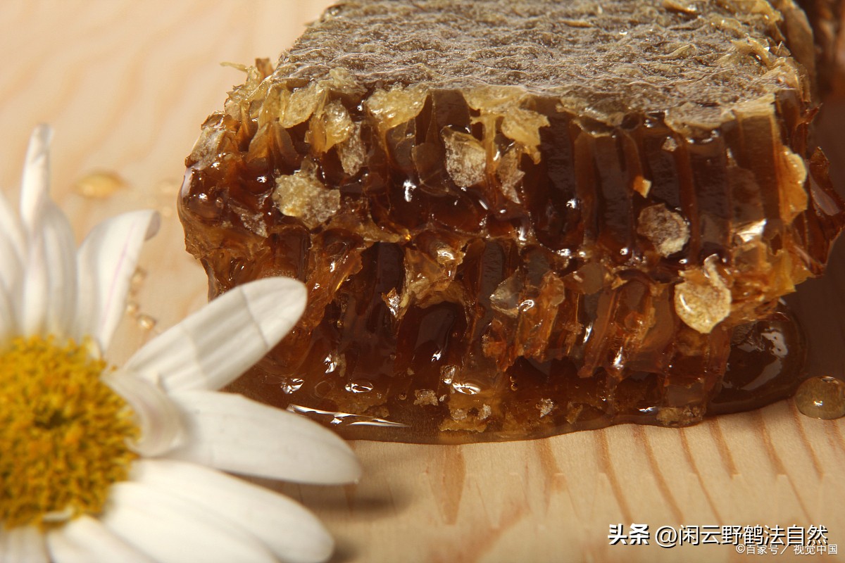 女神节蜂胶送老婆滋养肌肤延缓衰老