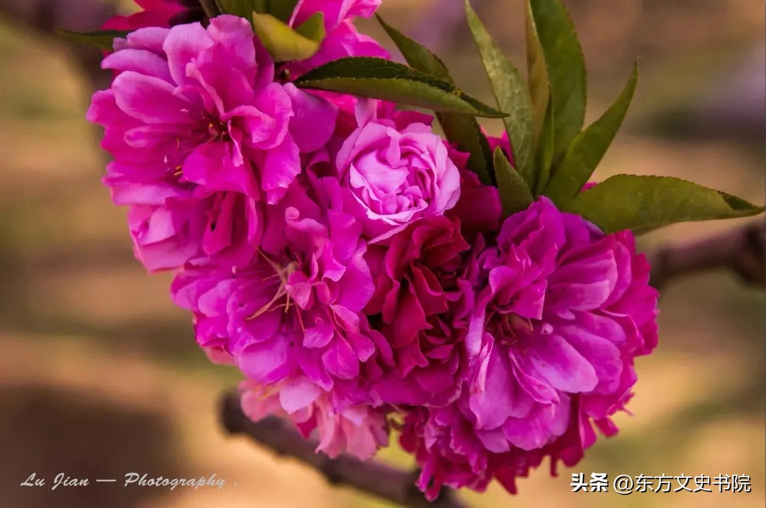 女人想要变优秀最适合看哪些书,女人想要优秀看什么书