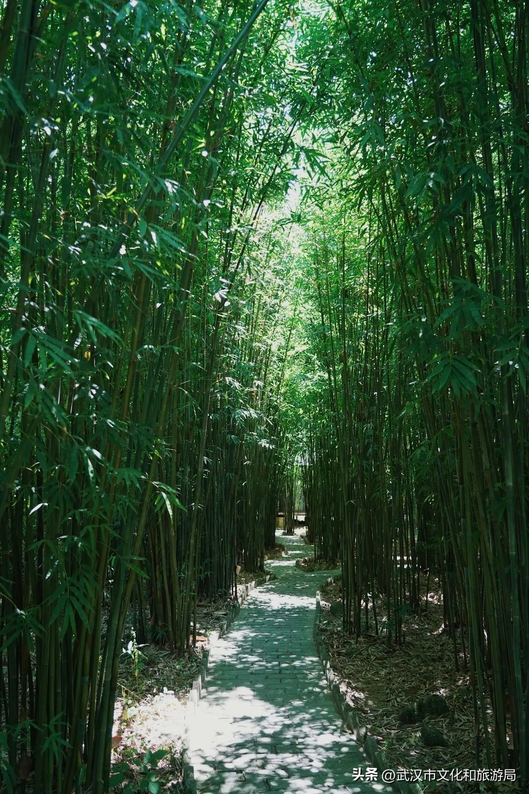 溪谷露营旅游攻略,溪谷玩水