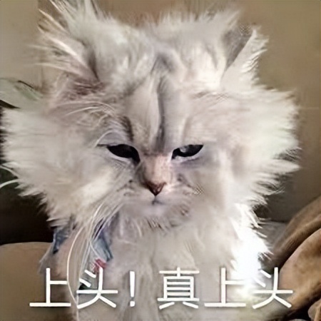 网易最良心的几款游戏,网易最受欢迎的是哪款游戏