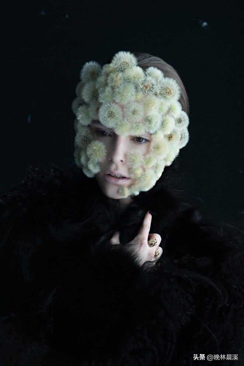 蒲公英与dandelion的区别,蒲公英摄影包选22升和25升对比