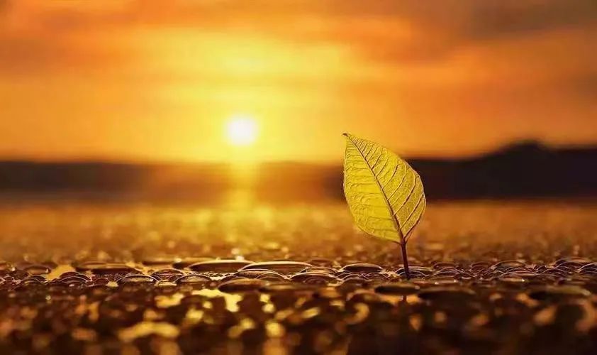 高质量的睡眠有多重要,有效改善睡眠抗焦虑抑郁