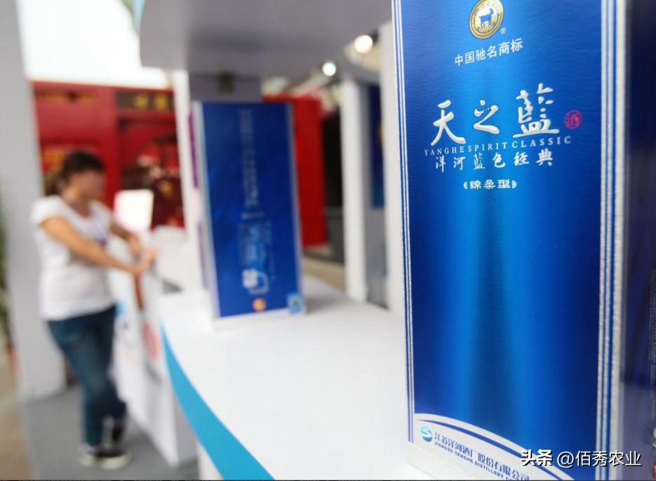 洋河天之蓝梦之蓝海之蓝怎么区分,洋河酒梦之蓝和海之蓝天之蓝区别