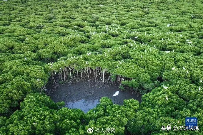 中国*产党共**第二十次全国代表大会今日开幕【10月16日周日新闻速览一分钟】