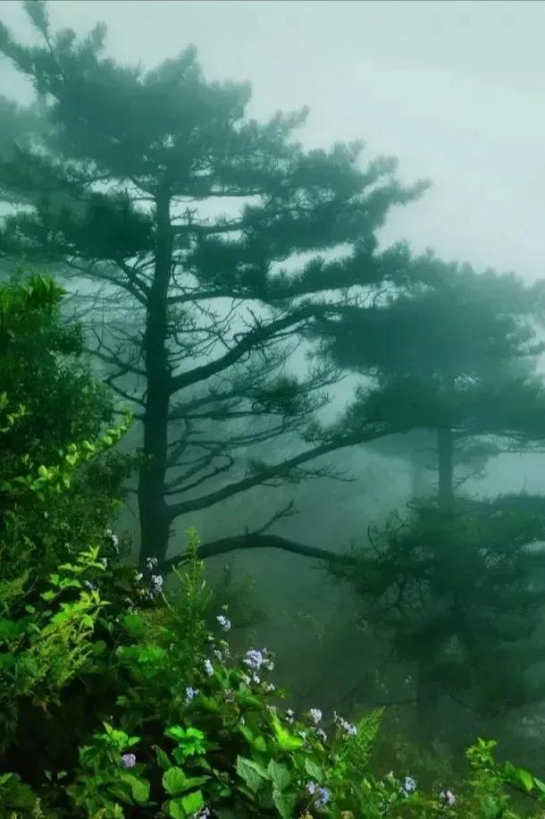 「四都港（四）」林海文集第0090本节选