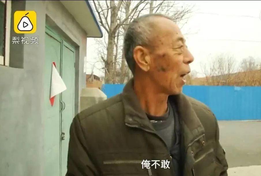 坚蛋健身模式是怎么样的,坚蛋运动健身怎么样