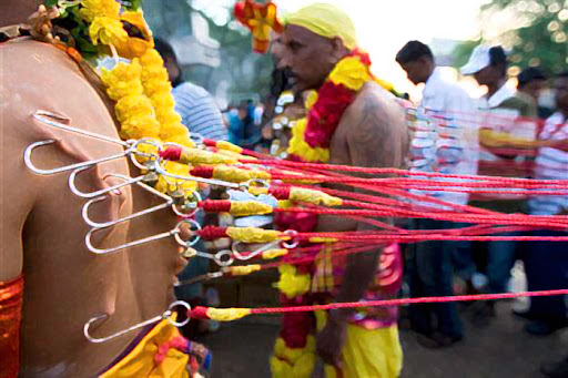 印度有什么节日活动,印度近期的节日