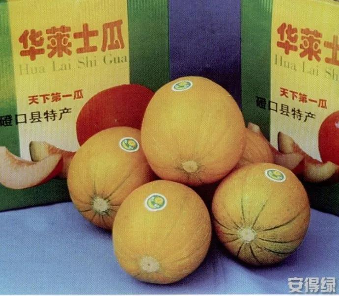 天下第一瓜字体,天下第一福由来