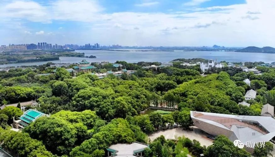 武汉必打卡的十大景点介绍,武汉南湖网红打卡景点