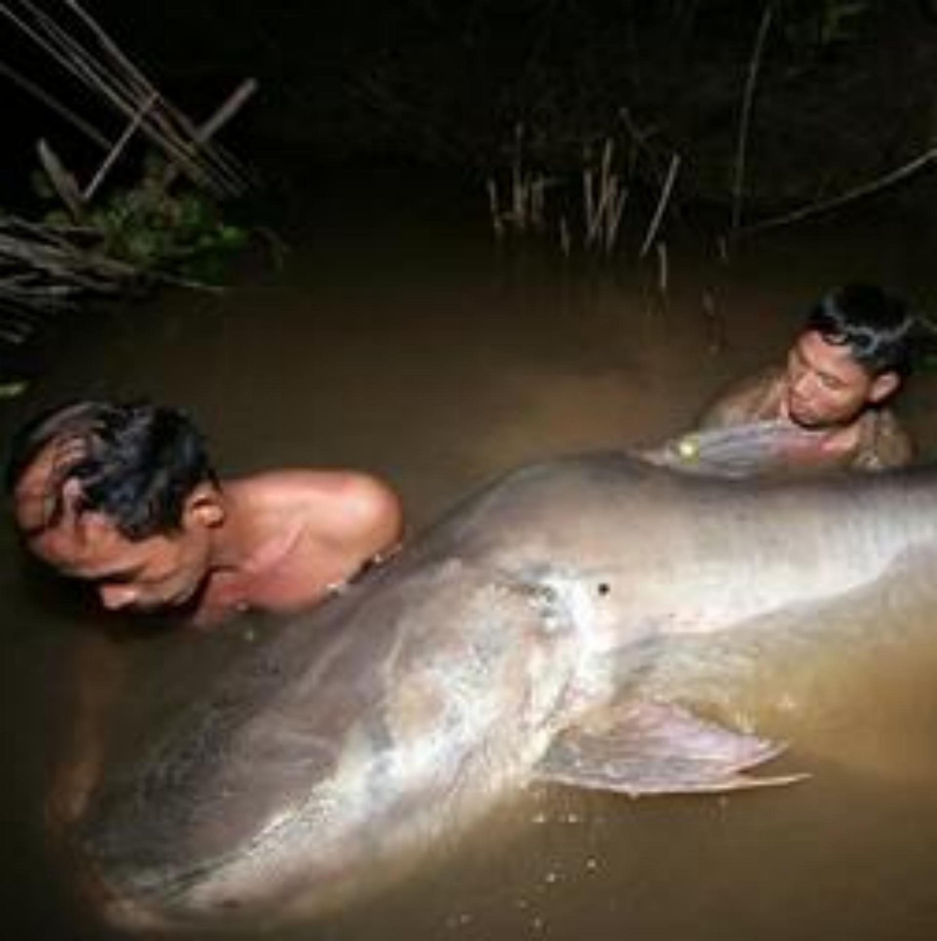 意大利男子出海钓鱼,意大利男子钓起湖中巨怪