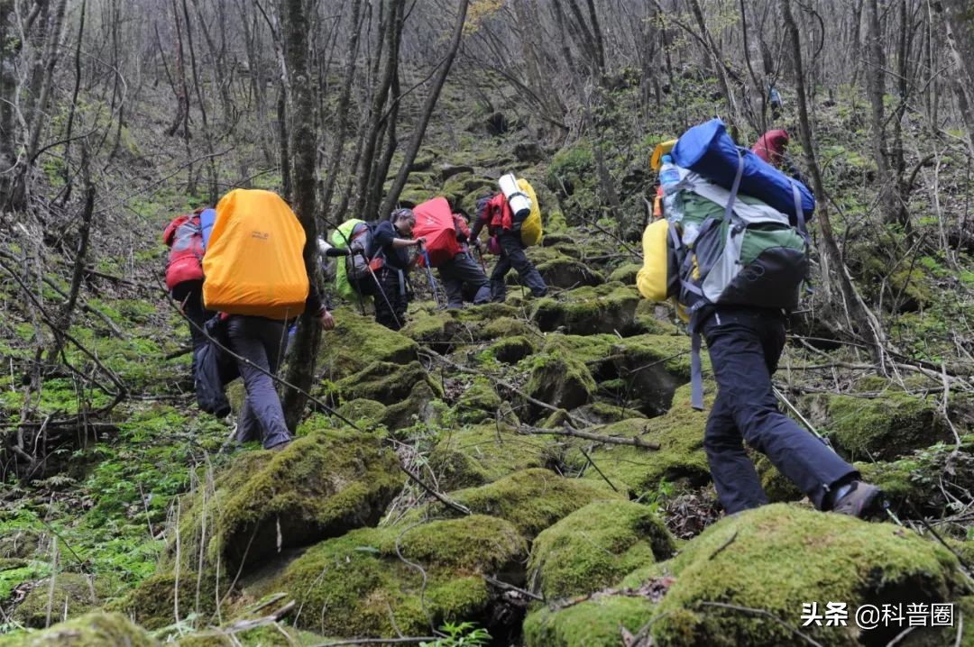 神农架深处被列为禁区的现象,神农架深处为何被列为禁区进不去