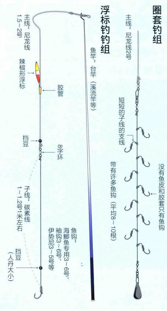 竹荚鱼钓法日本一年吃几亿条日本专业海钓入门防波堤钓书籍