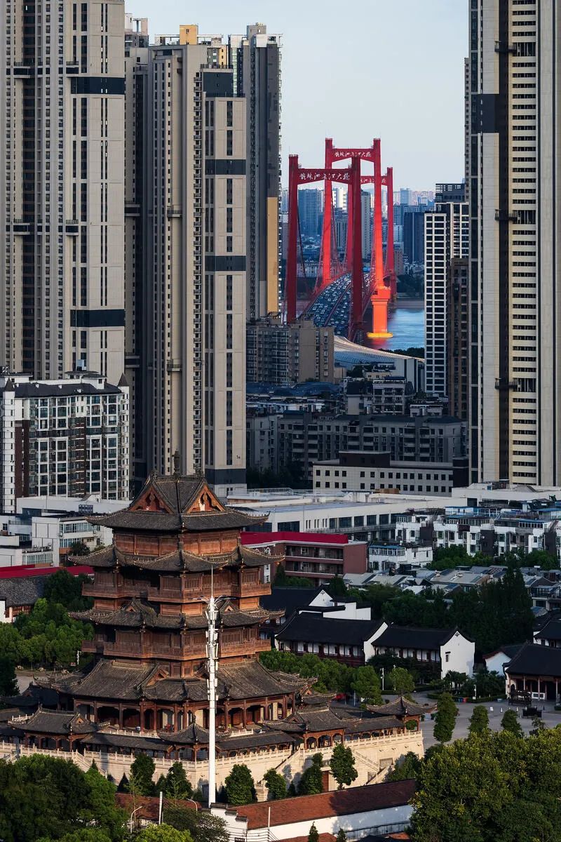 上海市白玉兰荣誉奖,上海白玉兰荣誉奖2020