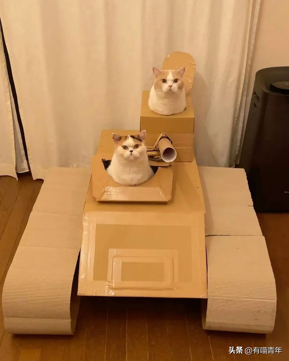 鑷粠鍏讳簡鐚氨鍐嶄篃娌℃湁涔拌繃琛ｆ湇,鑷粠鍏讳簡鐚氨娌＄粰鑷繁涔拌繃闆堕