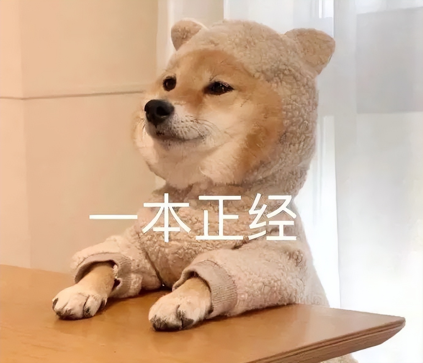 世界杯哪些人受伤了,世界杯强队集体翻车