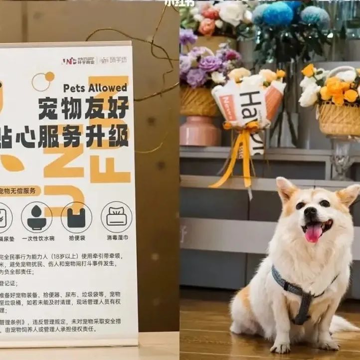 淄博烧烤火爆背后的商业生态系统 (淄博烧烤现象启示)