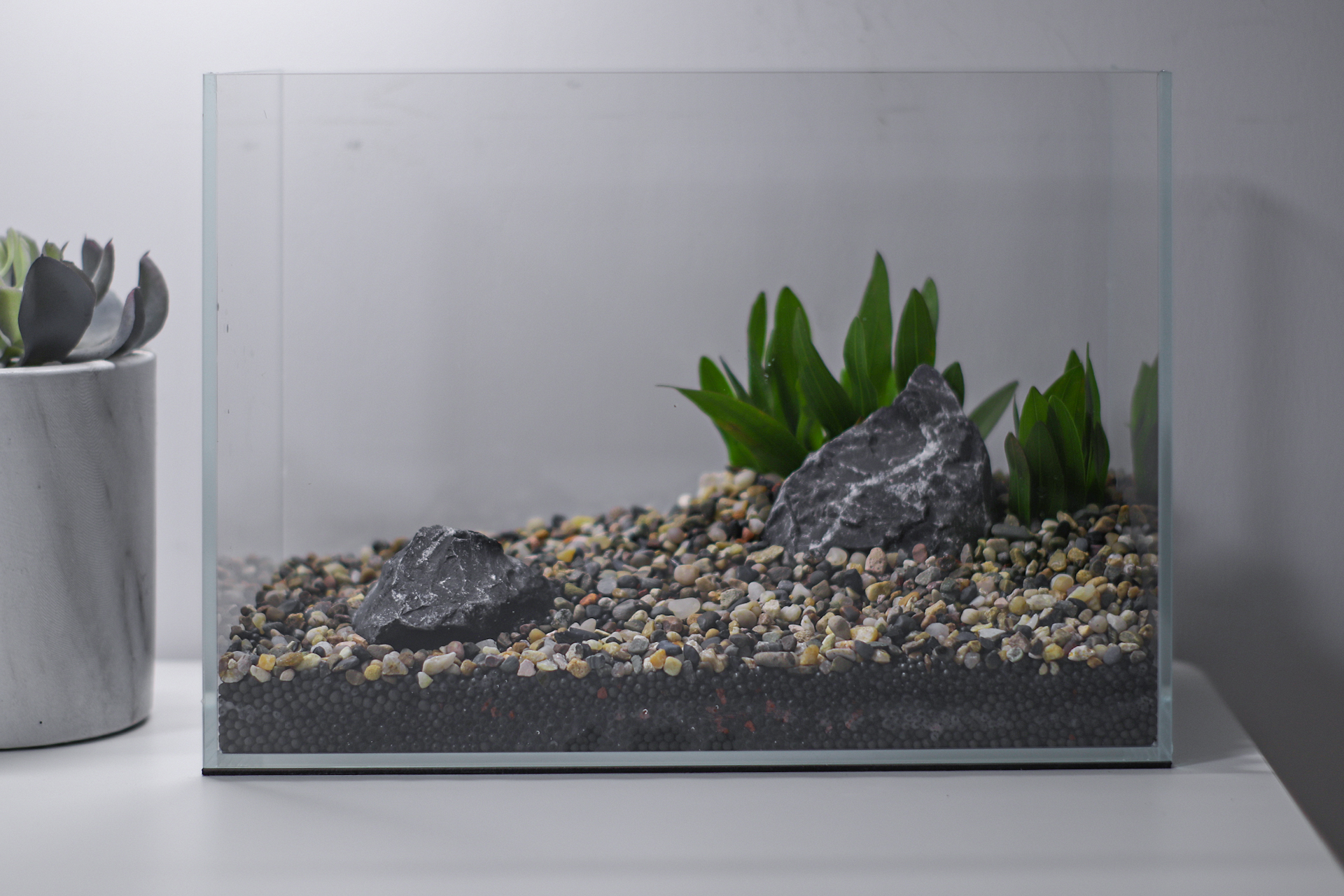 挑战不可能户外,不打氧不过滤不给碳的生态缸