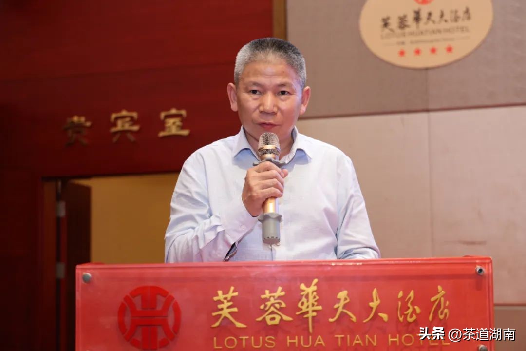 湖南长沙县春茶,2022湖南春茶总结