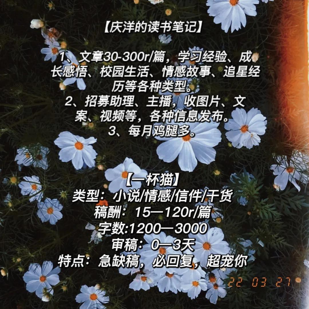 初芒投稿公众号,投稿征稿公众号