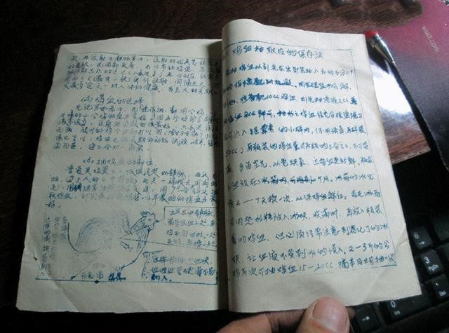 六十年代为什么流行的打鸡血,60年代打鸡血疗法