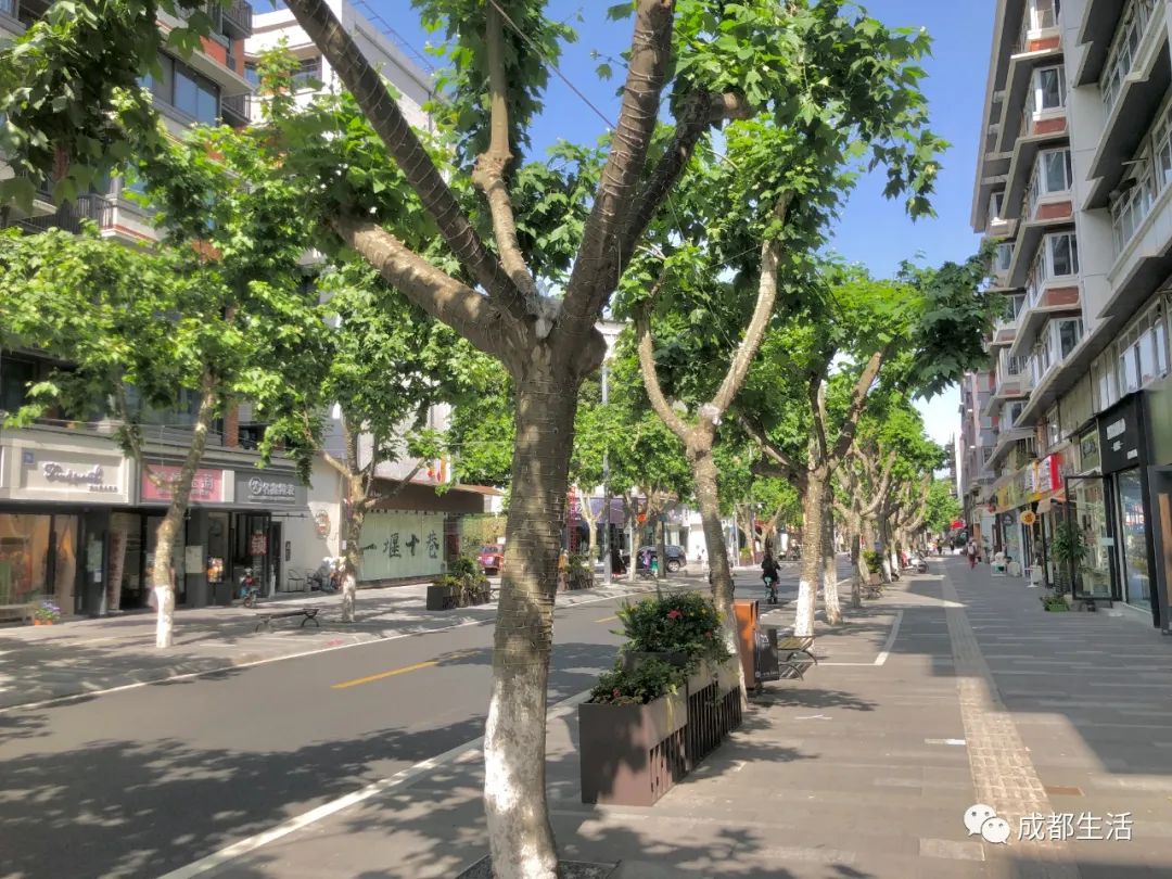 成都有特色的老街,成都最酷的老街