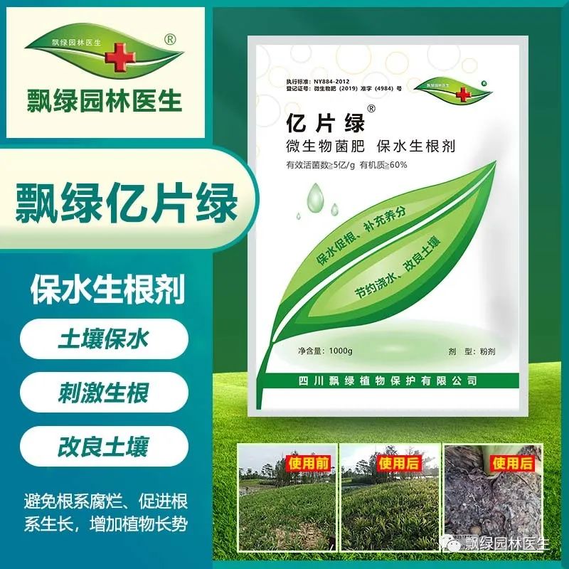 早熟禾草坪生长慢什么原因,草坪枯黄是什么原因怎么根治