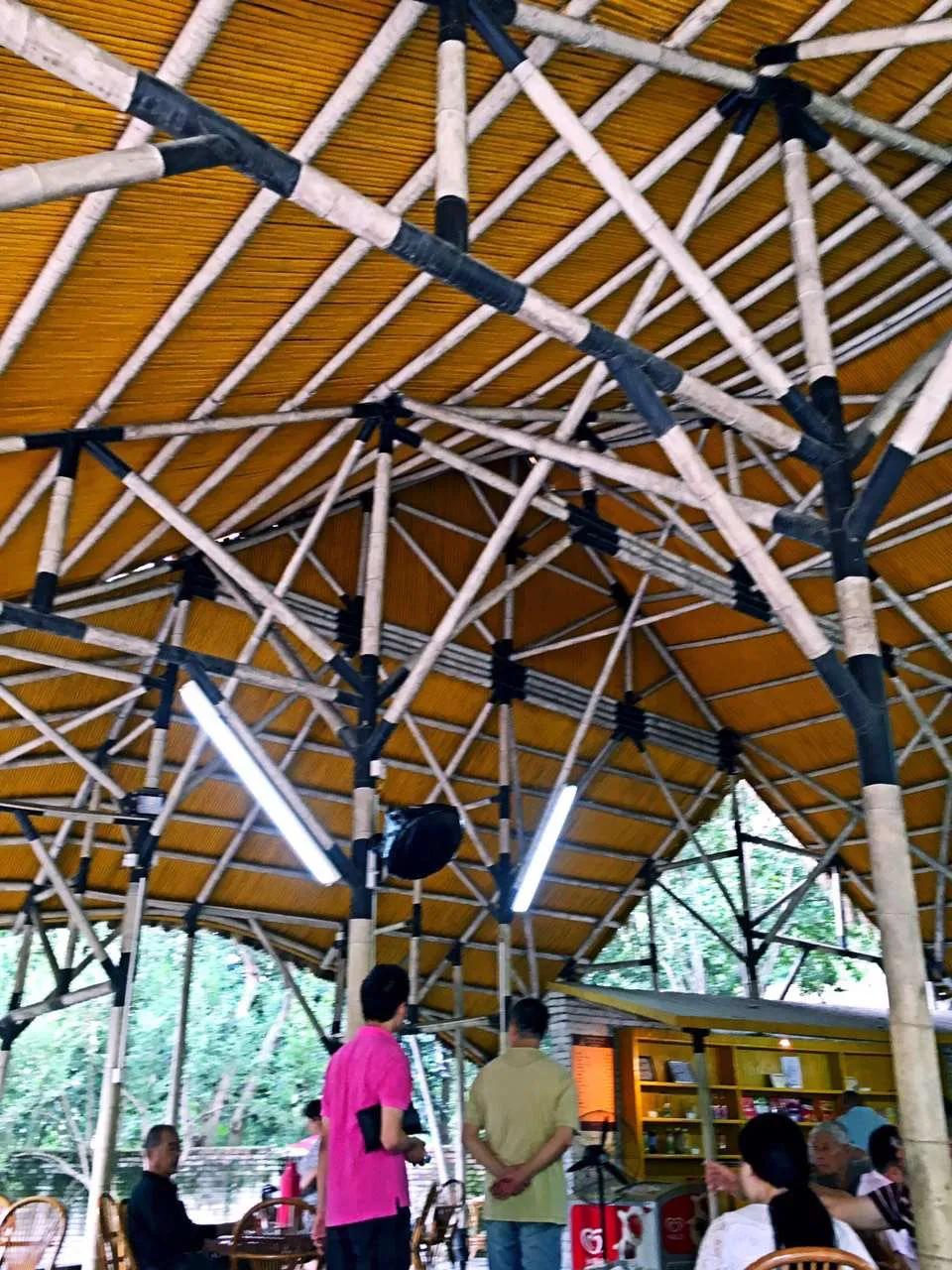 走走看看：藏在方塔公园内的“名媛”——何陋轩