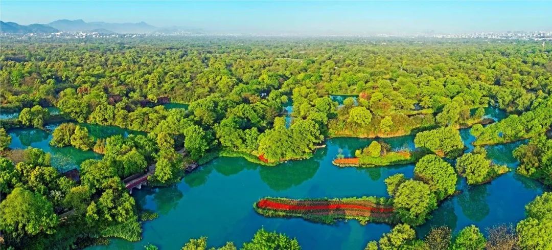 中国首次参加世界博览会,中国举办了哪些国际大会