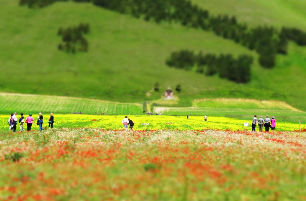 南京都市现代农业探索与发展