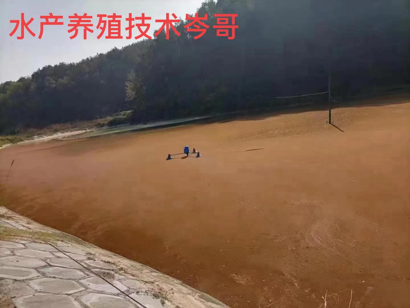 鱼塘水质铁锈色,水产养殖鱼塘水变浓绿怎么解决