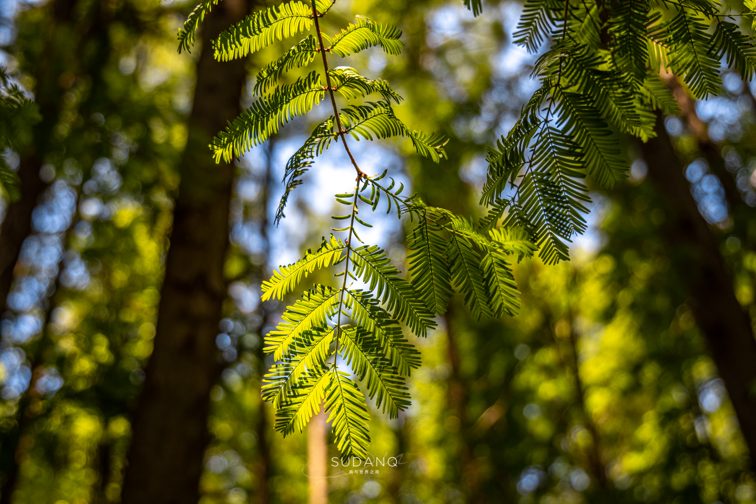 苏州各县到底有多强,苏州究竟有多强