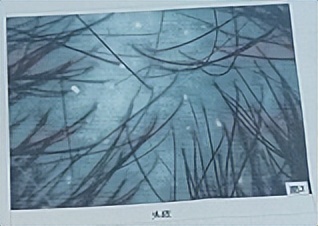 当代秃头青年的脱发自救精品指南,脱发快秃头了怎么办