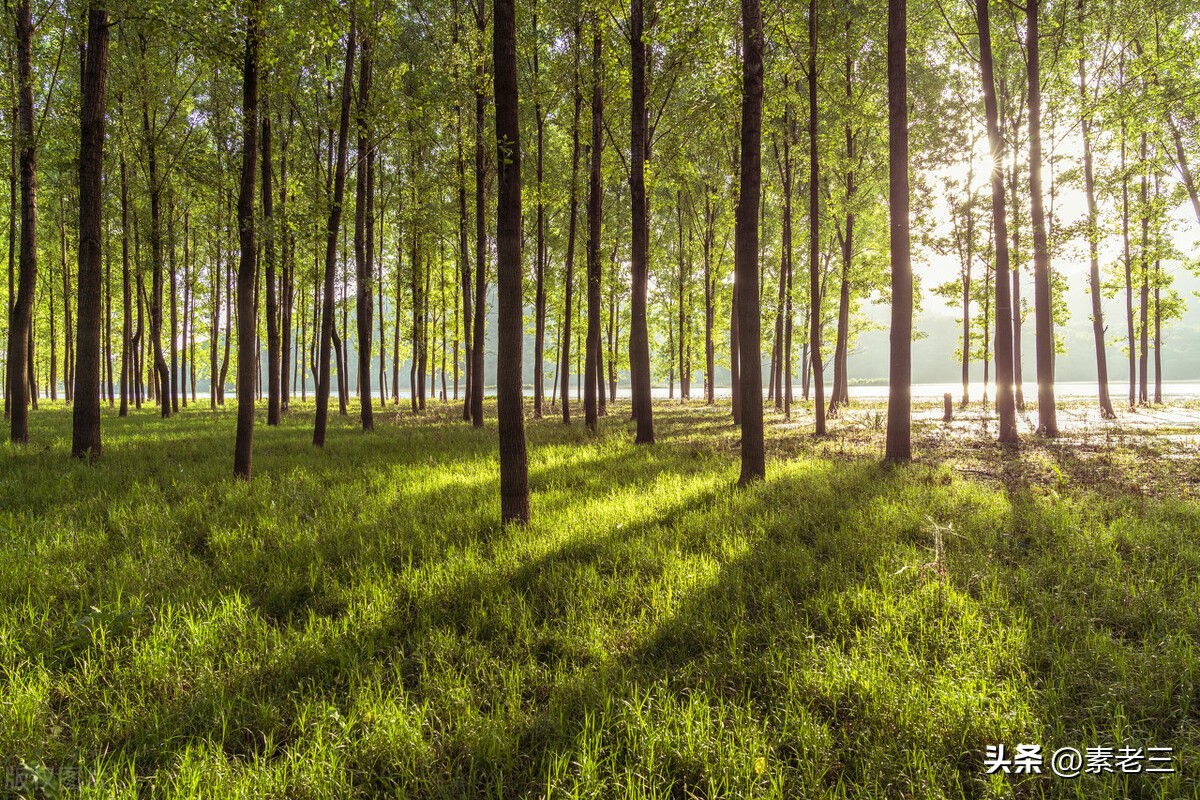 女作家去做保姆和雇主过招,女作家去做保姆982集