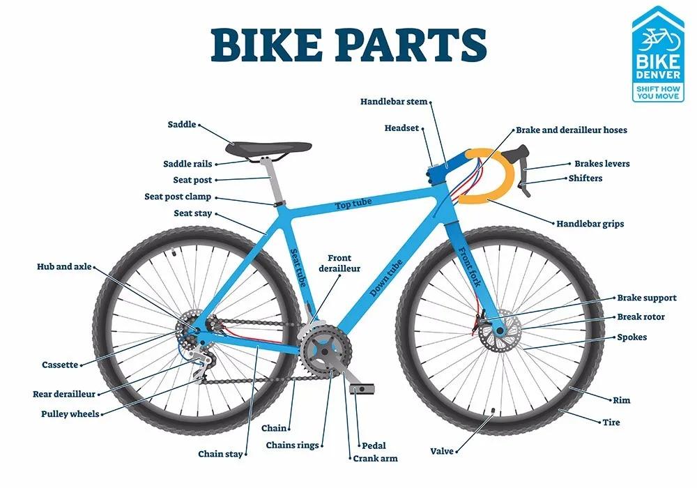 带孩子骑自行车可以说的英语,幼儿骑自行车英语情景