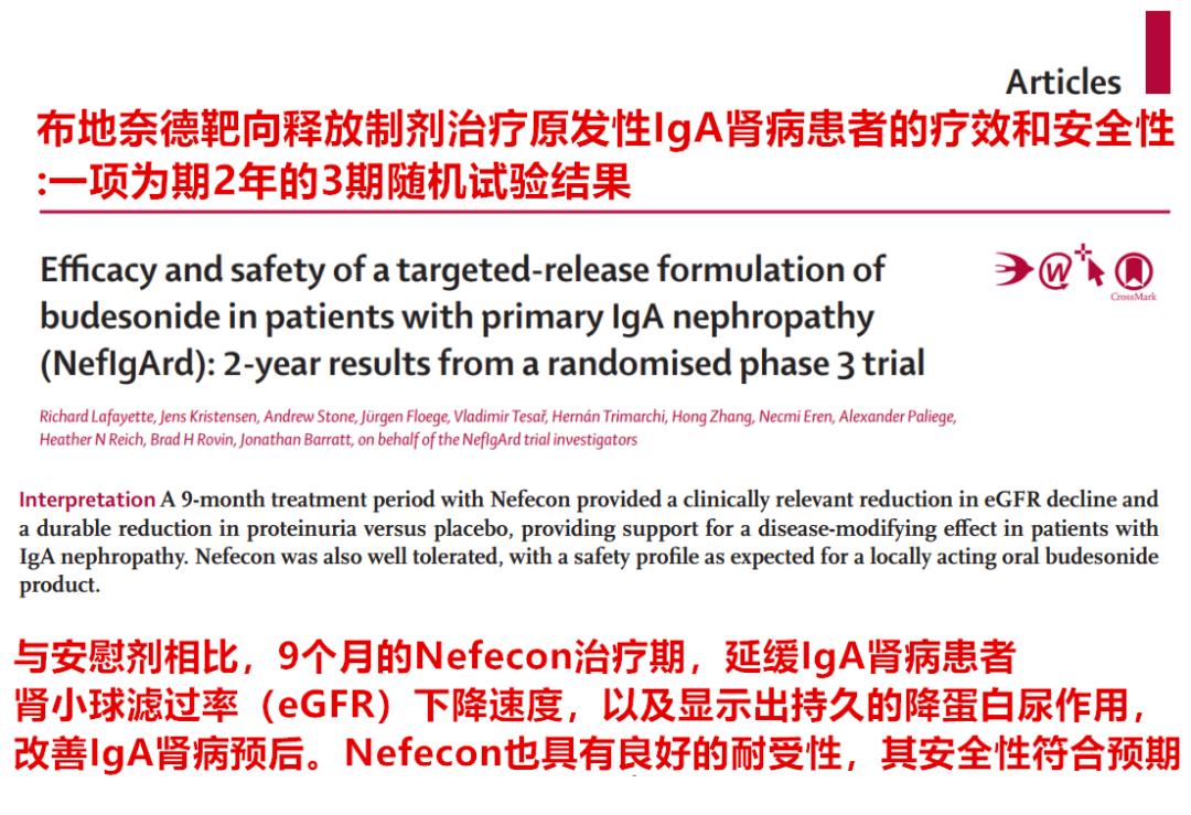 iga肾病的靶向药多少钱,iga肾病20万特药