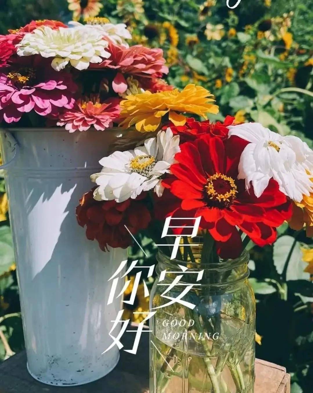 6月5日周一早安快乐！新的一天健康平安幸福安康图文