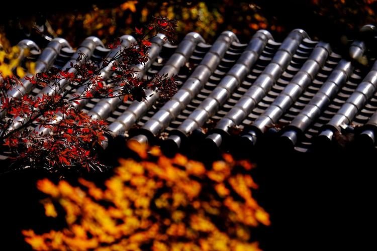 家有四样一生白忙指的是哪四样,人贪四样一生白忙是哪四种