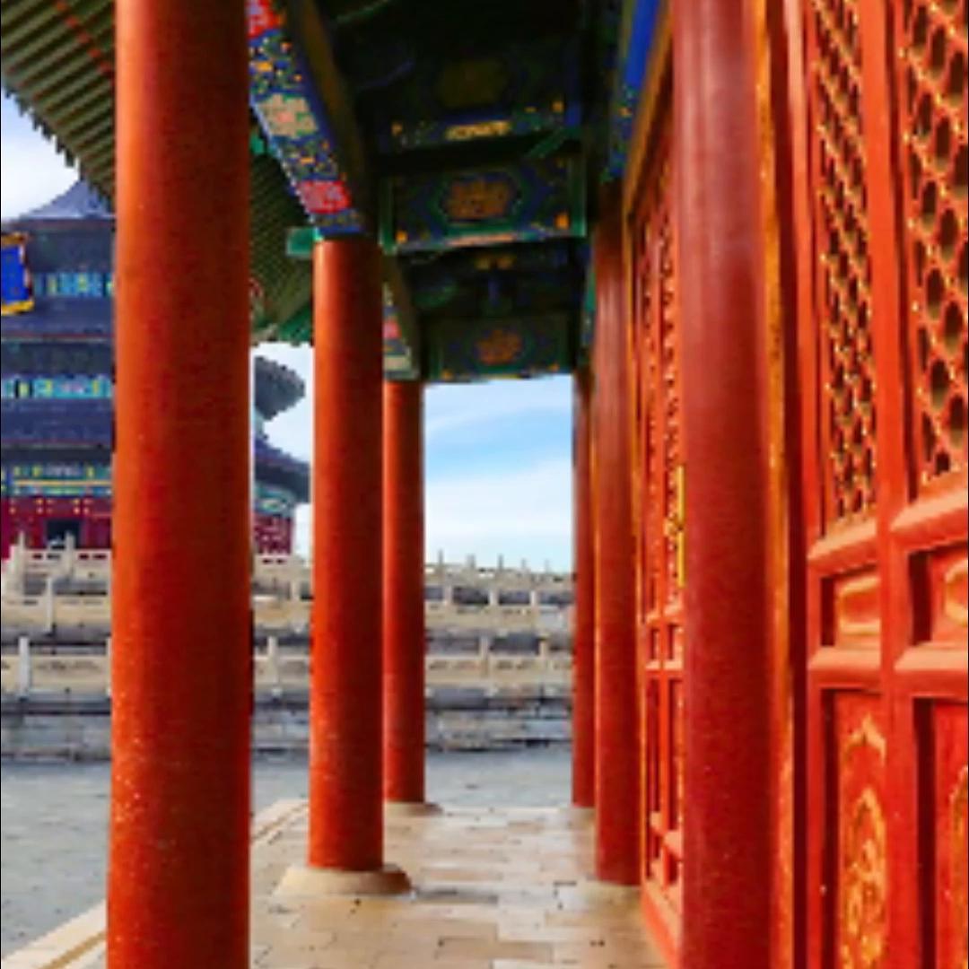 律师在一项委托事务中有损委托*权人**益时委托人可否解除其他...