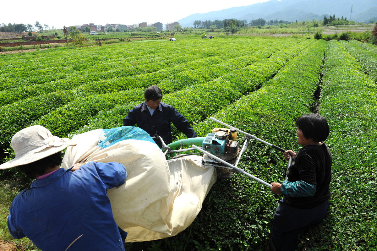 鍋氳尪鏈哄櫒浠锋牸鍥剧墖,鍋氳尪鏈哄櫒