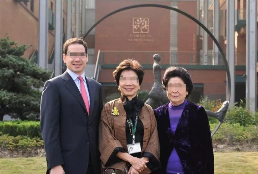 赘婿逆袭亿万富翁,赘婿百亿家产