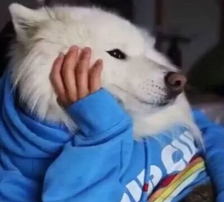 天冷的搞笑沙雕文案,天冷沙雕又高级的文案